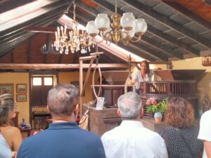 Tour guiado con degustación de gofio