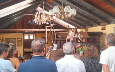 Tour guiado con degustación de gofio