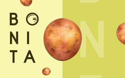 Sabores que unen: BE Canary en la Muestra Gastronómica de la Papa Bonita de Los Realejos 2025